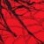 Red Spider